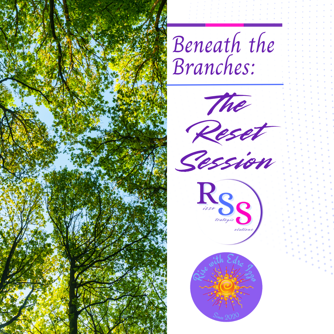 🌿 Beneath the Branches: The Reset Session